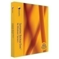 Symantec Backup Exec 12.5 Agent f/ Microsoft Virtual Servers, Band S Basic Maintenance, ML (14353611)
